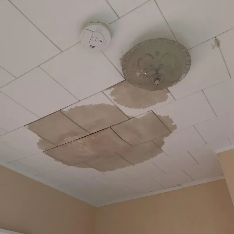 Ceiling Water Damage Repair in Jamaica Beach, TX